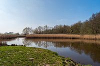 A photo safari through Knoops Park in Bremen at the river Lesum