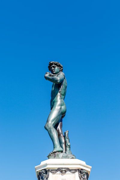 Bronze statue (replica) of David made by Michelangelo in Florence, Italy by WorldWidePhotoWeb