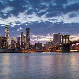 Panoramisch uitzicht op South Manhattan (New York City) vanaf Brooklyn Bridge Park van Carlos Charlez