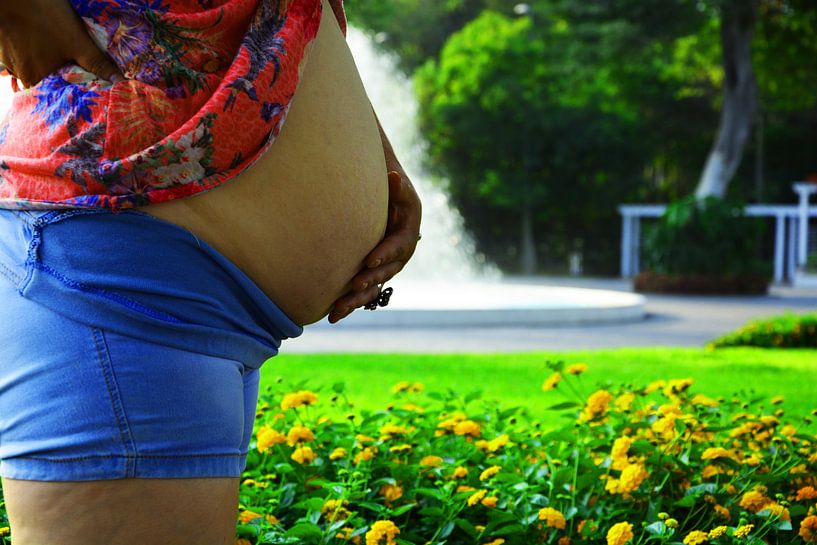 Zwanger vrouw in het park von Gerrit Neuteboom