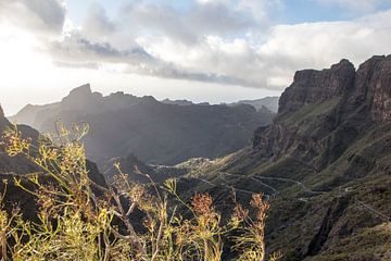 De weg naar Masca in Tenerife van Stephoto