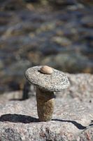 Balance