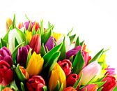 Tulips Mixed Colours Bunch by Erwin Plug thumbnail