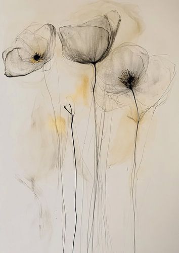 Whispering Poppies