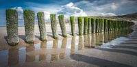 Pfosten am Strand in Domburg