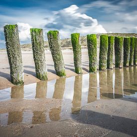 Pfosten am Strand in Domburg von Daniël Steenbergen