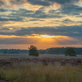 Sonnenaufgang an den Grabhügeln in der Regte Heide. von Miranda Rijnen Fotografie