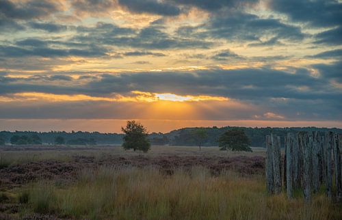 Zonsopkomst bij de grafheuvels op de Regte Heide.