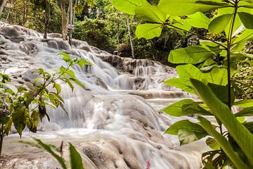 Dunn's River Falls in Jamaica van Jan Schneckenhaus