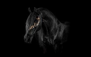 Black on black by Stephanie Prozee