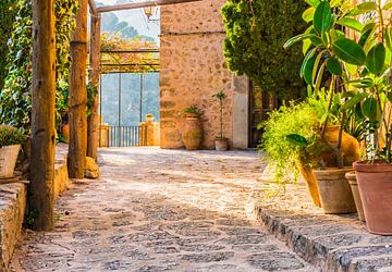 Mediterrane Terrasse mit schönen Topfpflanzen und idyllischem Sonnenuntergangslicht von Alex Winter