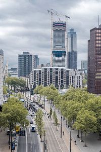 La promenade sur les toits de Rotterdam