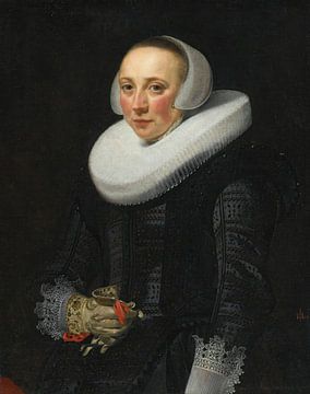 Portret van een dame, Nicolaes Pickenoy