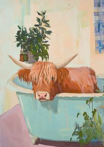 Highland Cow