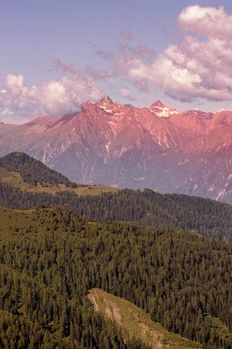 Austria sur Boas  van den Berg