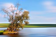 Summer on the Havel by Violetta Honkisz thumbnail