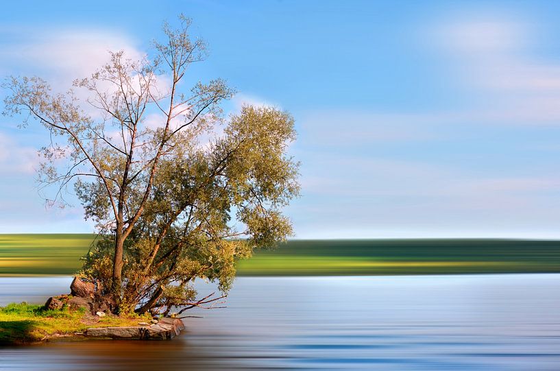 Summer on the Havel by Violetta Honkisz