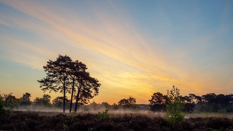Colorful streaks in the sky before sunrise by Lex Schulte