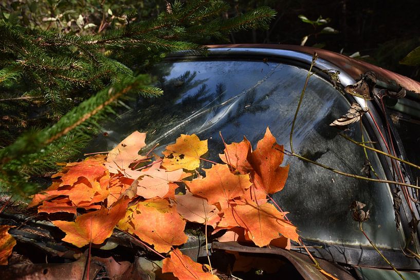 Ein altes Auto im Wald im Herbst von Claude Laprise