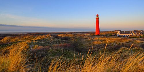 Schiermonnikoog landschap in de duinen met de vuurtoren