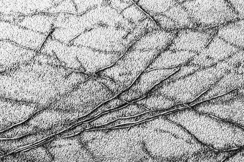 Linien in Schwarz und Weiß