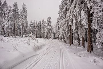 Korte winterwandeling in het besneeuwde Thüringer Woud bij Floh-Seligenthal - Thüringen - Duitsland van Oliver Hlavaty