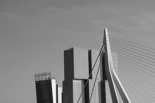 Le pont Rotterdam, Deloitte et Erasmus en noir et blanc