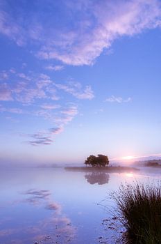 Strabrechtse Heide 142