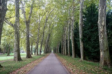 Unterer Schlossgarten van Richard Wareham