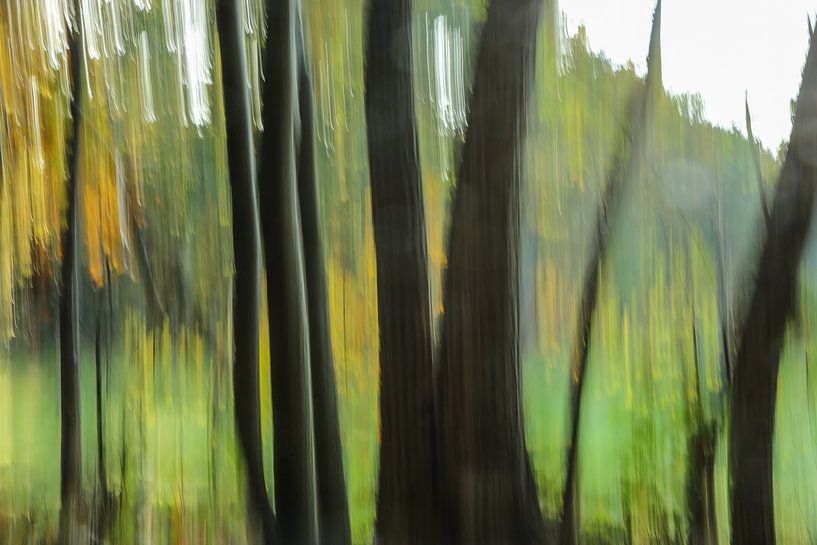 Forest in vertical blur  by Fotografie Jeronimo