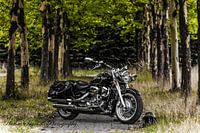 Yamaha XV 1600 Wildstar