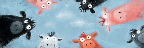 Curious Animals I – Looking In