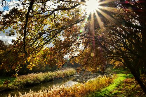 Heerlijke herfst!