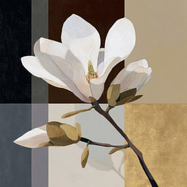 Magnolie in Gold von Color Square