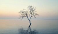 Lonely on the Horizon by ByNoukk thumbnail
