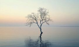 Eenzaam aan de Horizon van ByNoukk