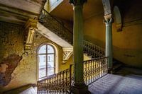 The abandonned  villa Goano