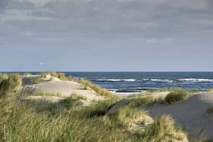 Spiekeroog IV