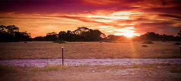 Prachtig landschap met zonsondergang von Nicole Habets