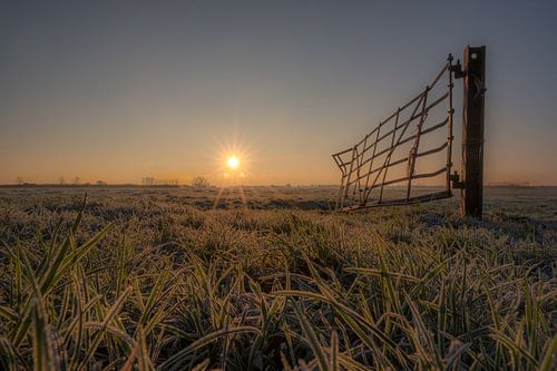 Hekwerk weiland met zon