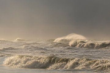 Golven op het strand van het eiland Texel in het Waddenzeegebied van Sjoerd van der Wal Fotografie