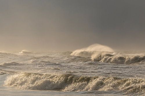 Golven op het strand van het eiland Texel in het Waddenzeegebied