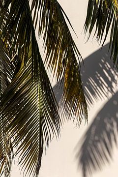 Palm leaf tropical island. by Dennis en Mariska