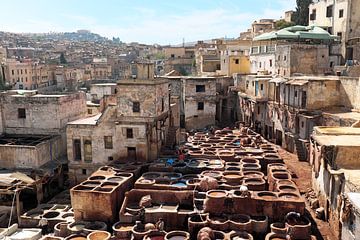 Tannerie à Fès au Maroc sur Eye on You