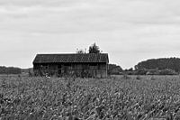 Barn