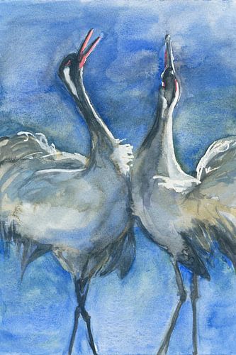 Nachtelijke Zingende Kraanvogels