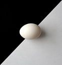 egg by Henk Langerak thumbnail