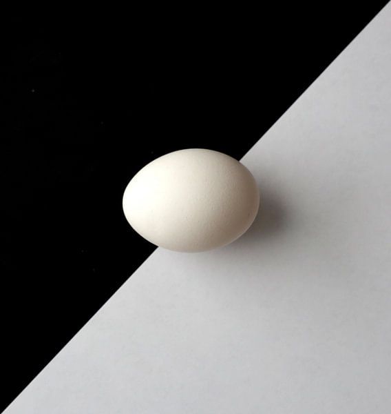 egg by Henk Langerak