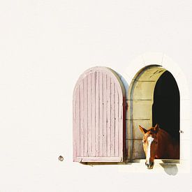 Horse at Stable Window - Beautiful Minimalist Photograph by Carolina Reina