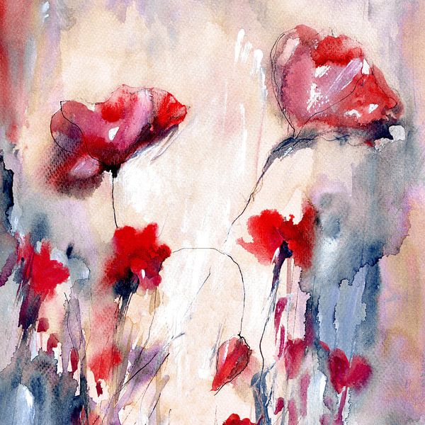 Poppies in the light by Claudia Gründler